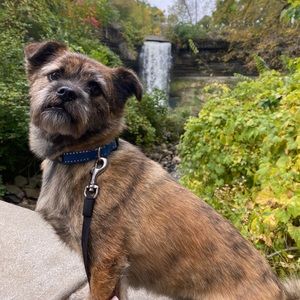 Meet your Posher, Kristin